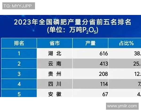 武汉排球队近期状态分析与未来发展趋势探讨 武汉排球队近期状态分析与未来发展趋势探讨