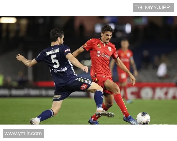 武汉羽毛球队防反战术解析及其在比赛中的应用与成效分析 武汉羽毛球队防反战术解析及其在比赛中的应用与成效分析